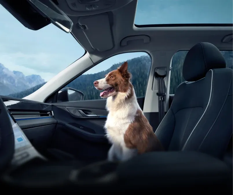 Oferta renting JAECOO 5 SHS Exclusive equipamiento