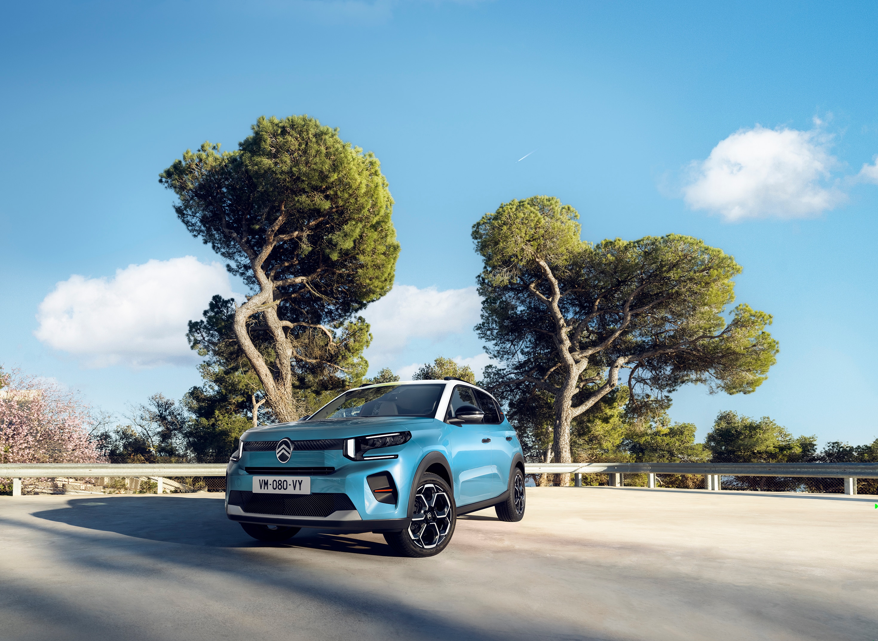 Equipamiento Citroën C3 Turbo 100 Business